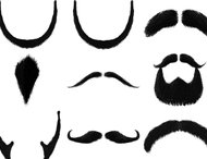 The Moustache Brush set