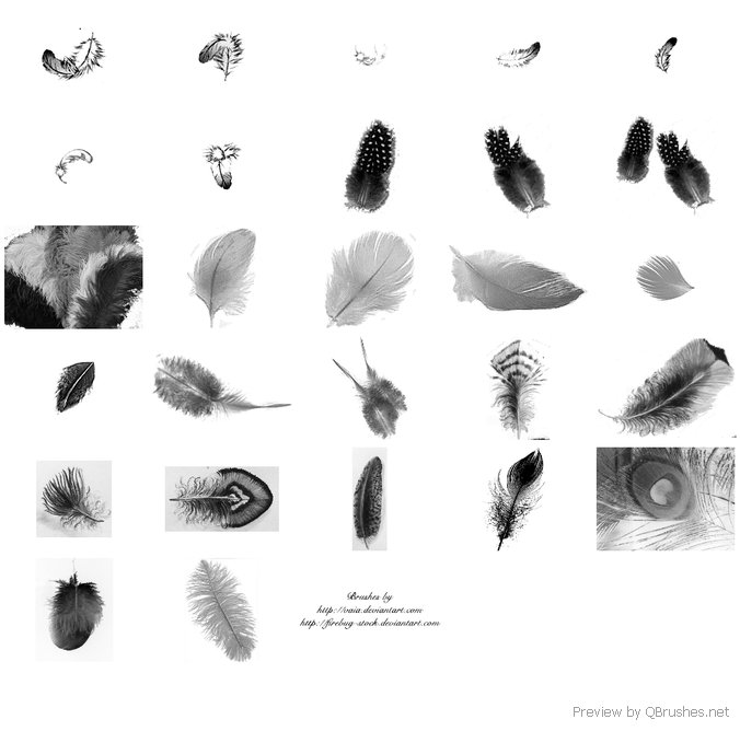 27 Feather brushes - Photoshop Brushes