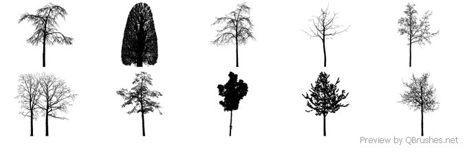 Tree brushes - Download | Qbrushes.net