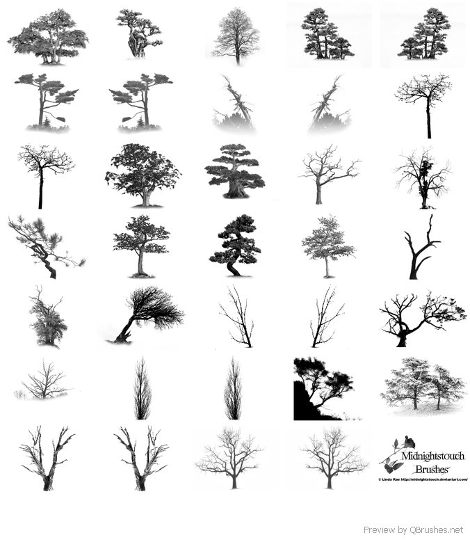 tree plan photoshop brushes