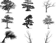 35 Photoshop 7 tree brushes