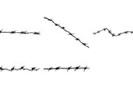 Barbed wire brushes