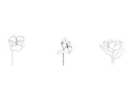 5 Hand-Drawn flowers