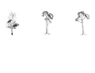 6 Hi-res doodled trees