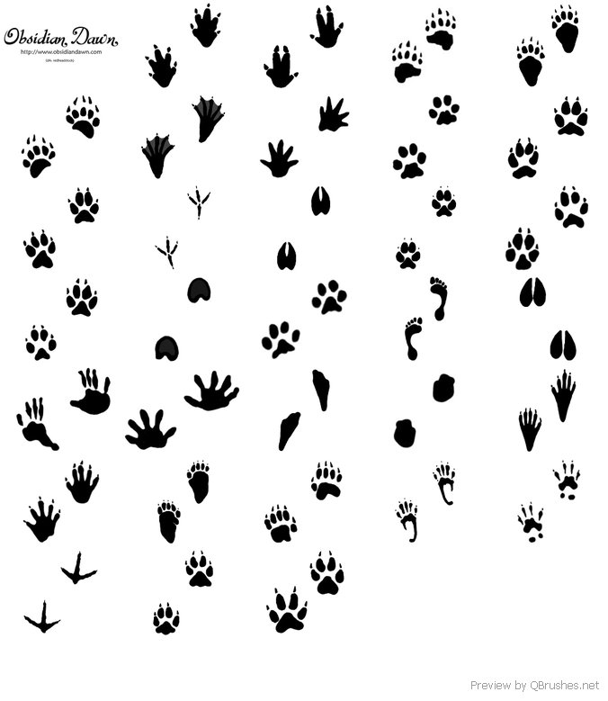 Animal Tracks - Download | Qbrushes.net