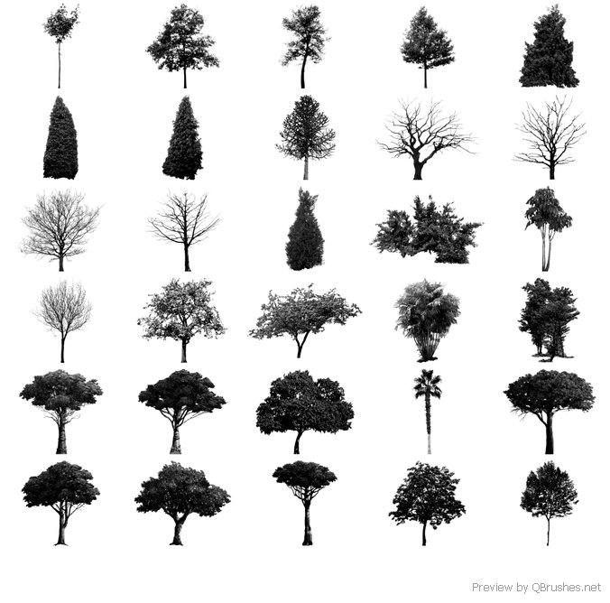 30 HighRes Tree Brushes