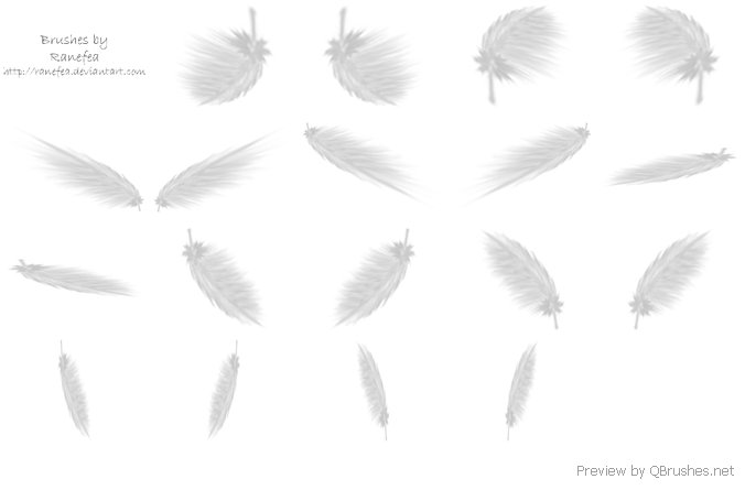 Feather brushes