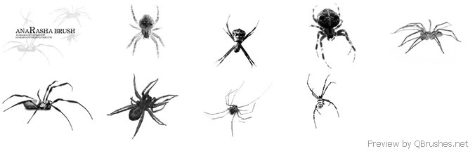 Spiders brushes