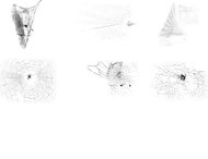 Spiders web brushes