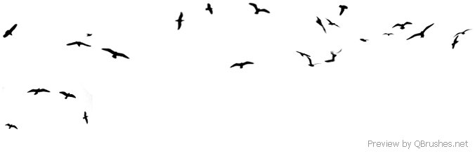 bird photoshop brushes free download