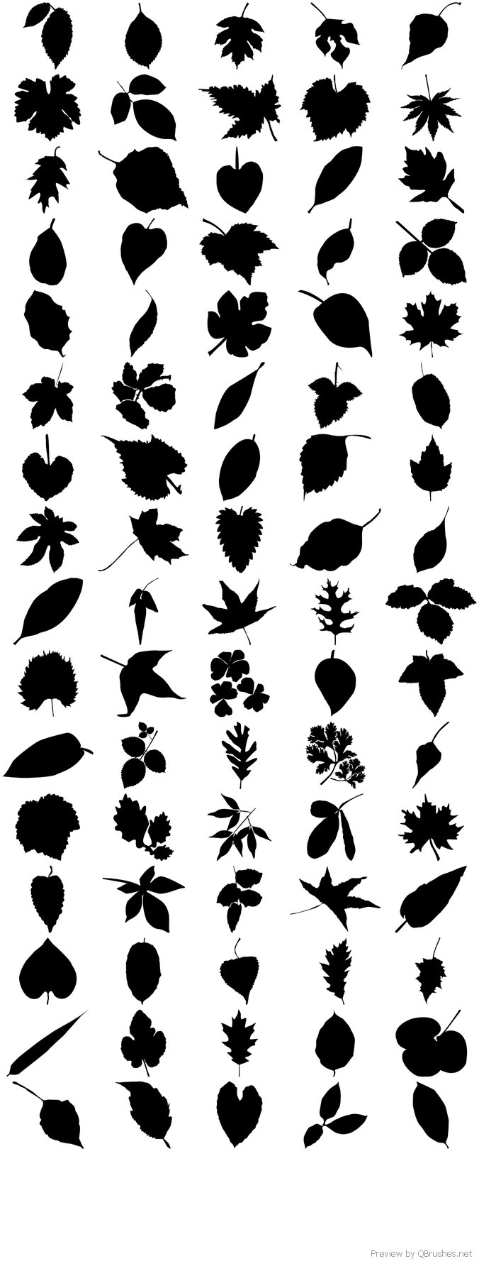 80 leaf silhouettes