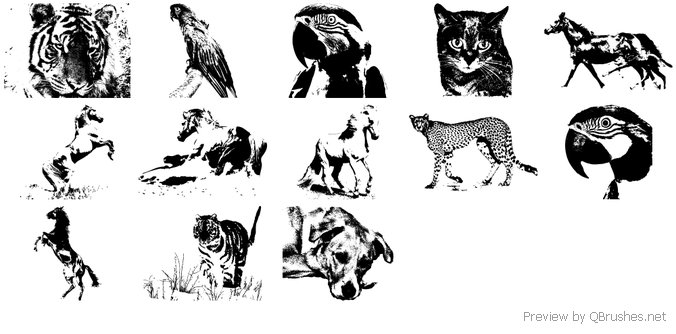 animal brush photoshop free download