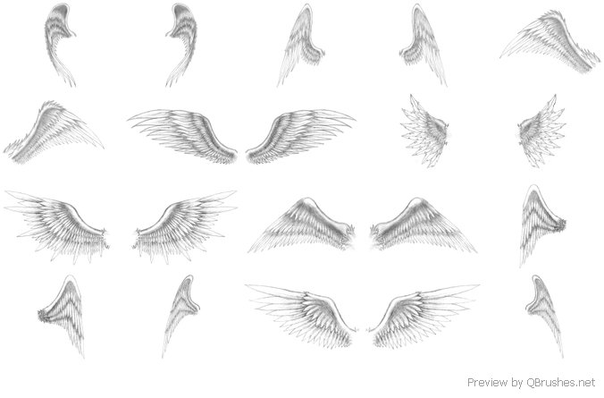 Angel wings brush set