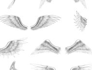 Angel wings brush set