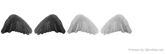 Black angel wings