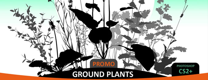 Ground Plants Brushes