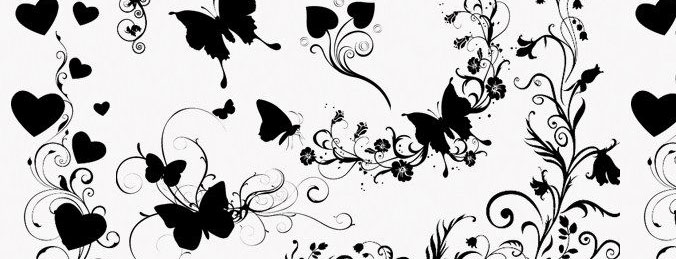 Butterflies and Floral