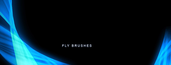 Fly Brushes