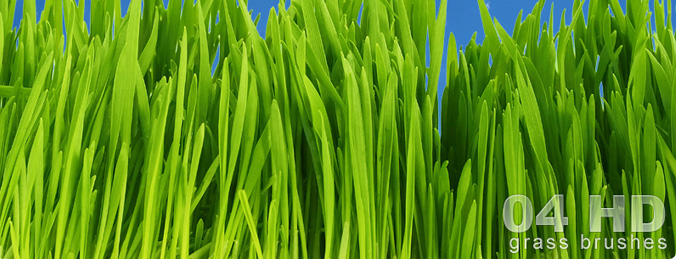 HD Grass Brushes