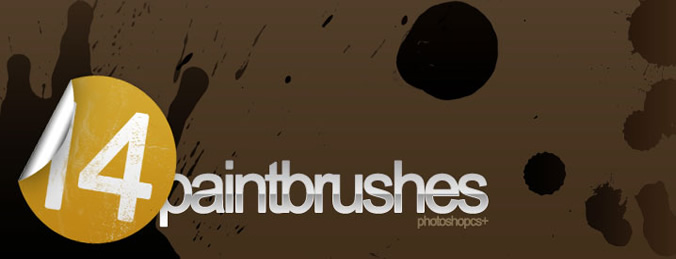 14 Paintbrush